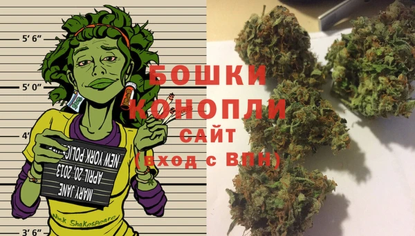 трава Аркадак
