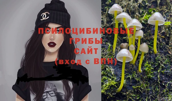 эйфоретик Армянск