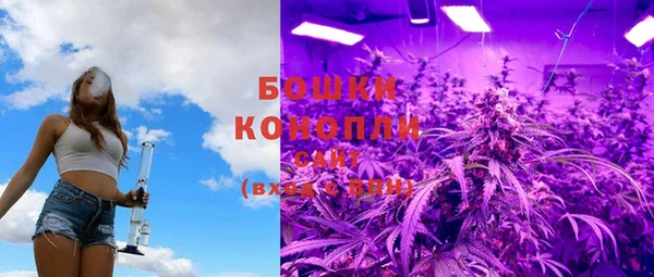 трава Аркадак