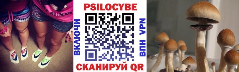 купить наркотик  Собинка  mega зеркало  Псилоцибиновые грибы MAGIC MUSHROOMS 